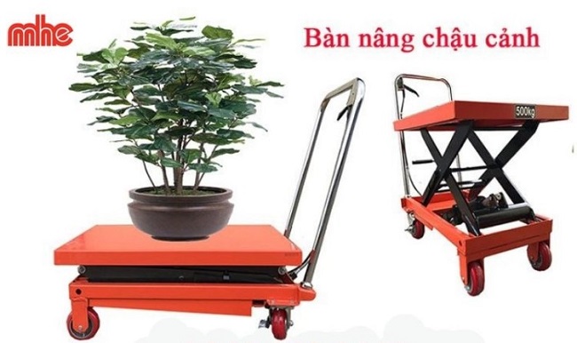 Xe Nâng Chậu Kiểng Xe Nâng Chậu Kiểng